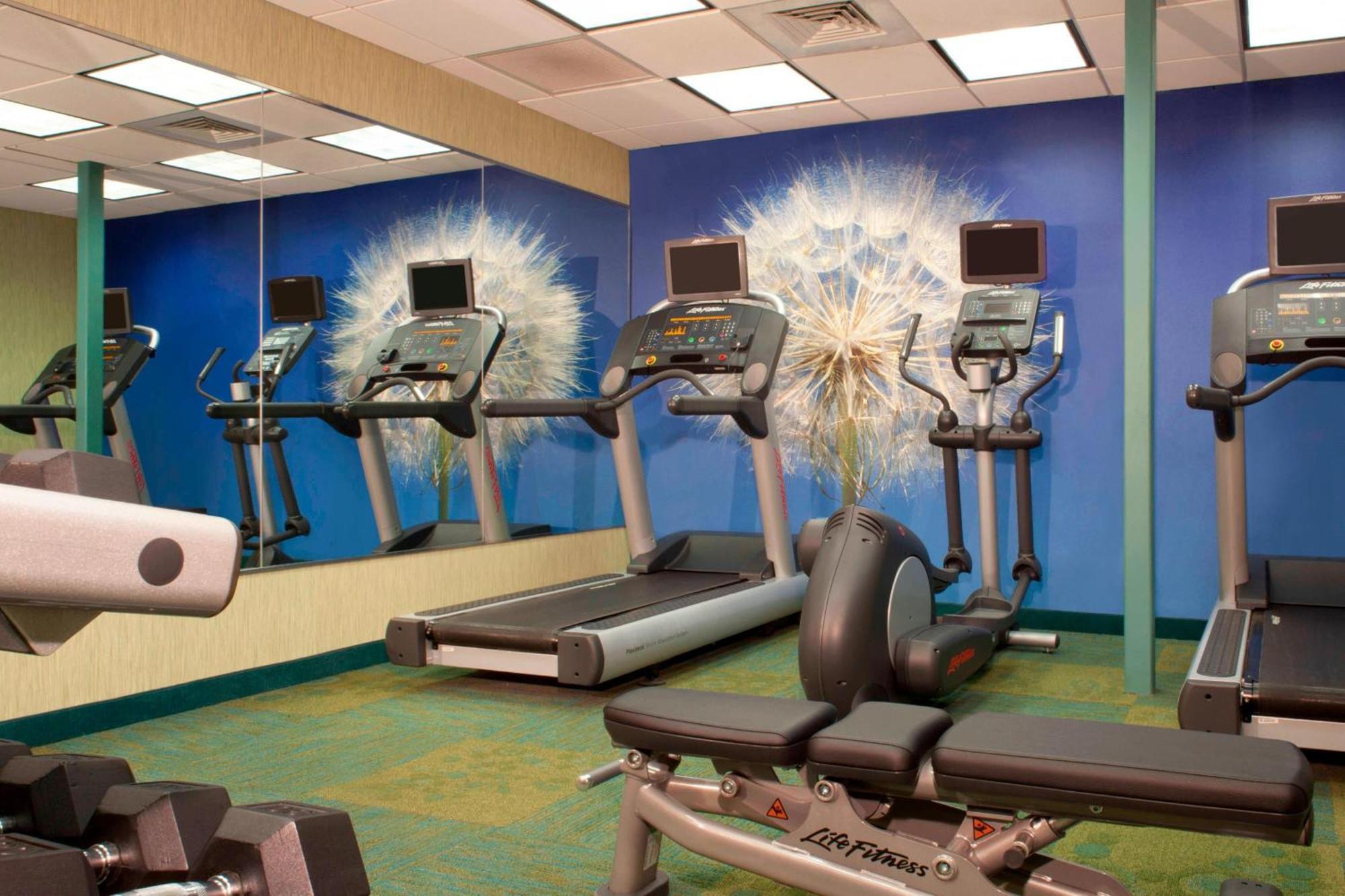 Springhill Suites Gainesville Ngoại thất bức ảnh