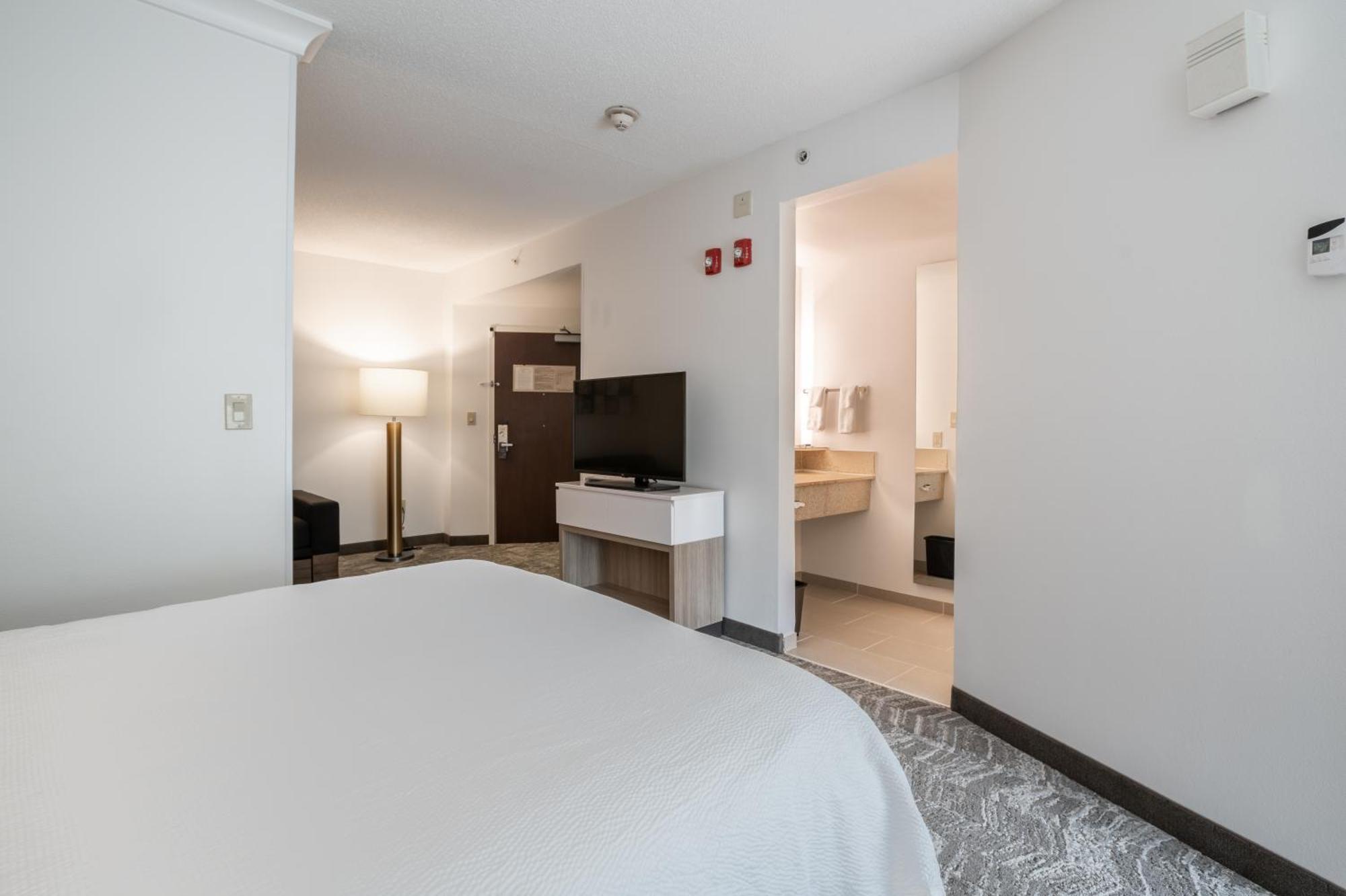 Springhill Suites Gainesville Ngoại thất bức ảnh